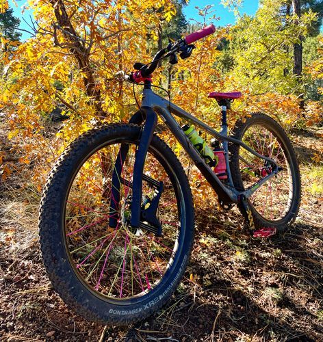The Magnificent Golden Aspens of the Burro