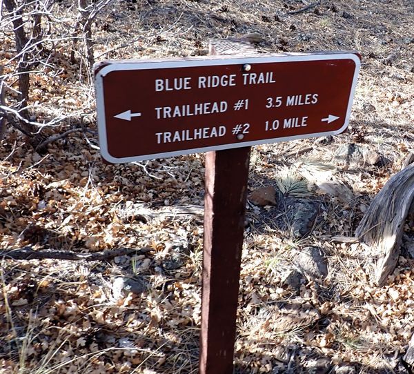 Riding the White Mountain Trail System