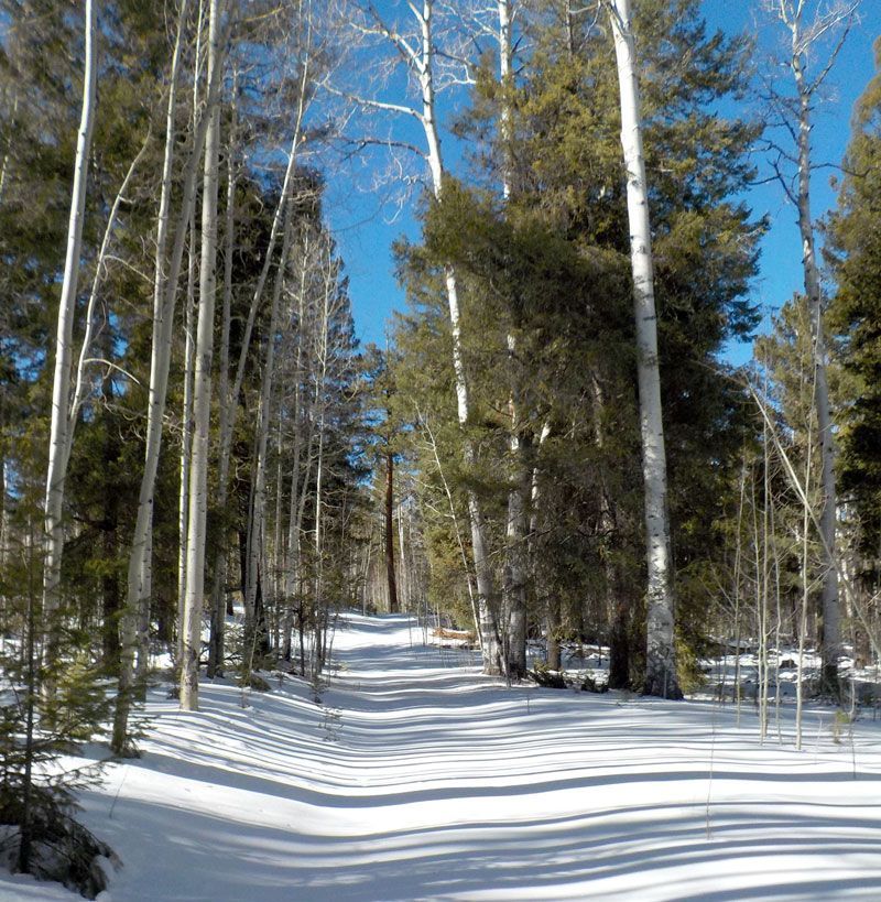 A day that was very pleasant, indeed!