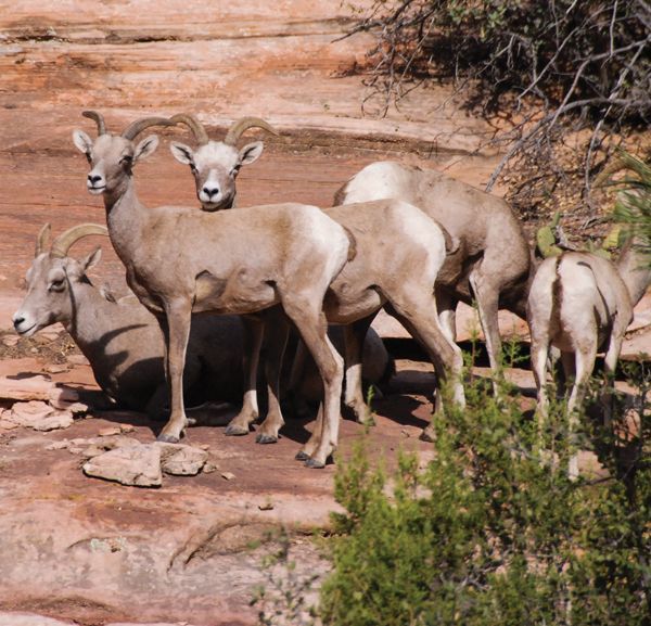 Preserve our National Parks and National Monuments