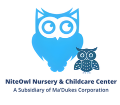 NiteOwl Childcare logo