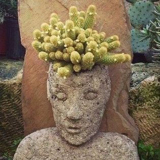 a statue with a cactus growing out of it 's head .