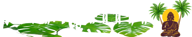 Palm Buddha logo