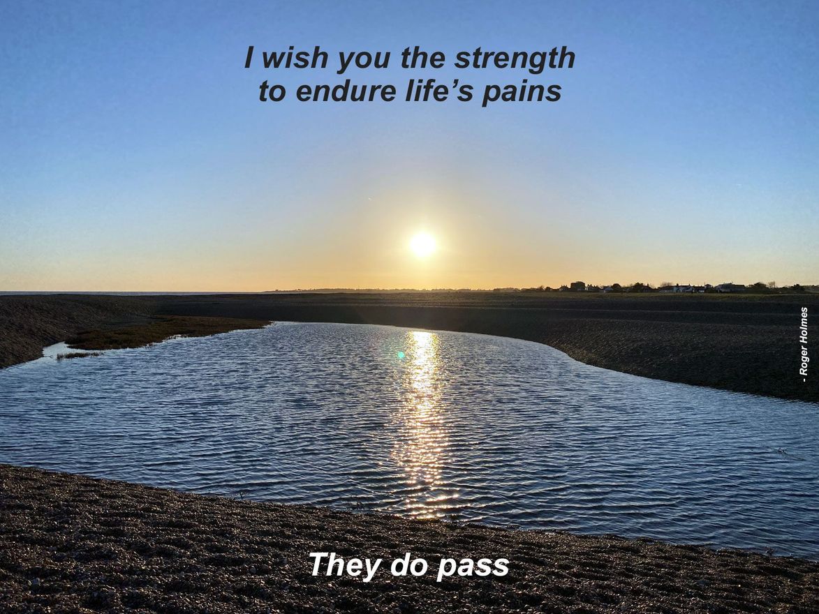 I wish you the strength to endure life's pains, they do pass.