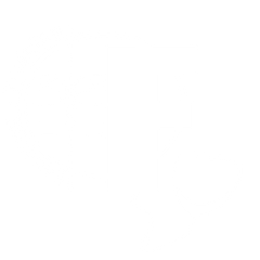 Focused Training Logo