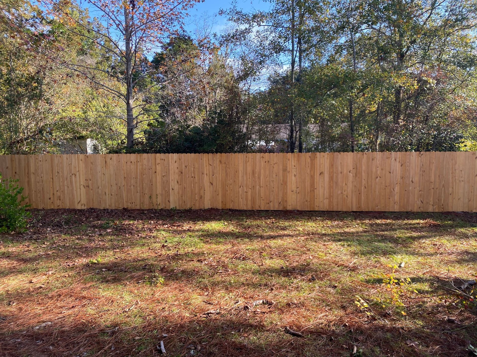 A wooden fence is surrounded by trees in a backyard.