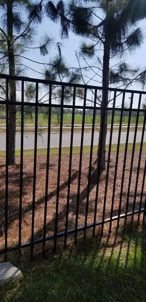 A black metal fence with trees in the background and a road in the background.