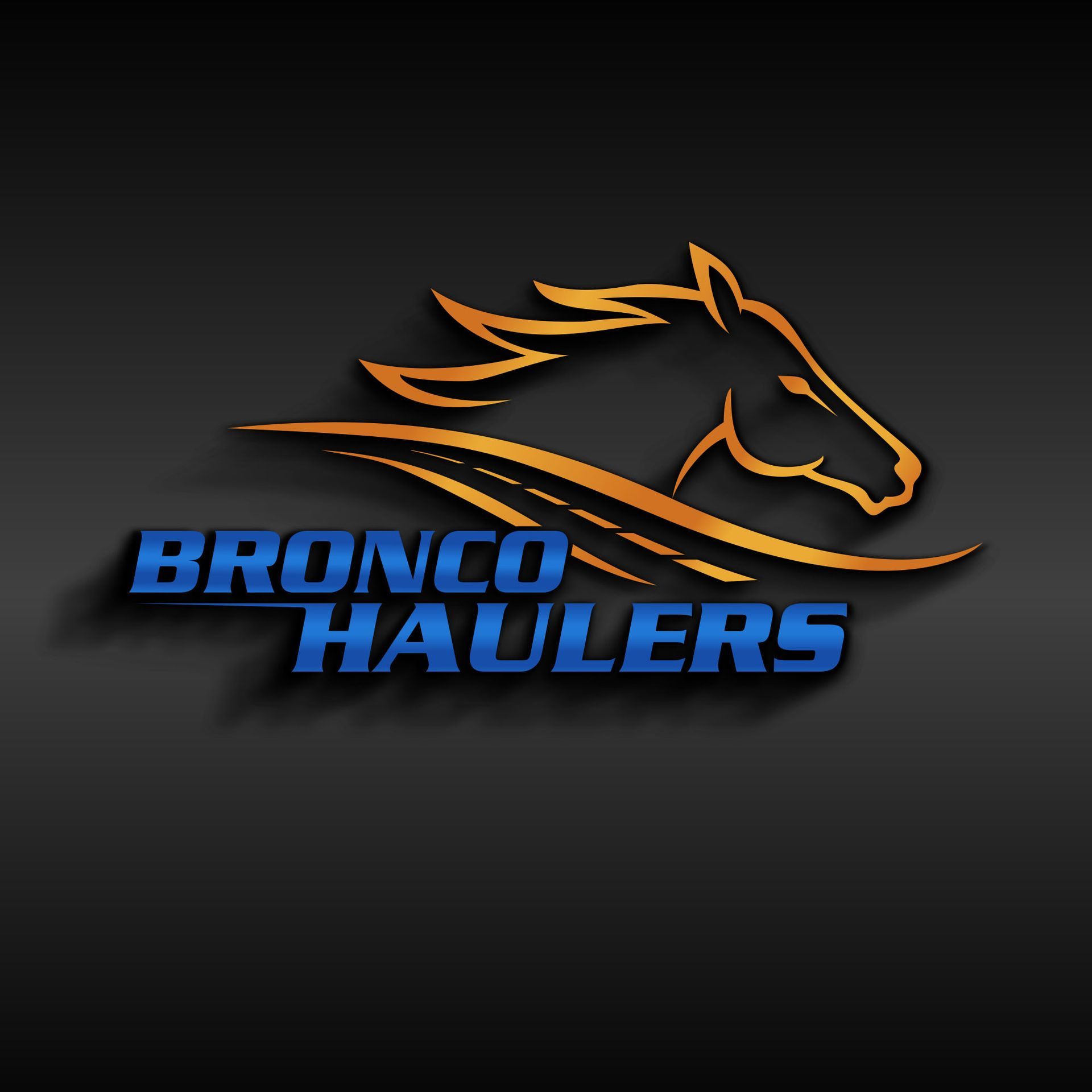 Bronco Haulers dumpster rental