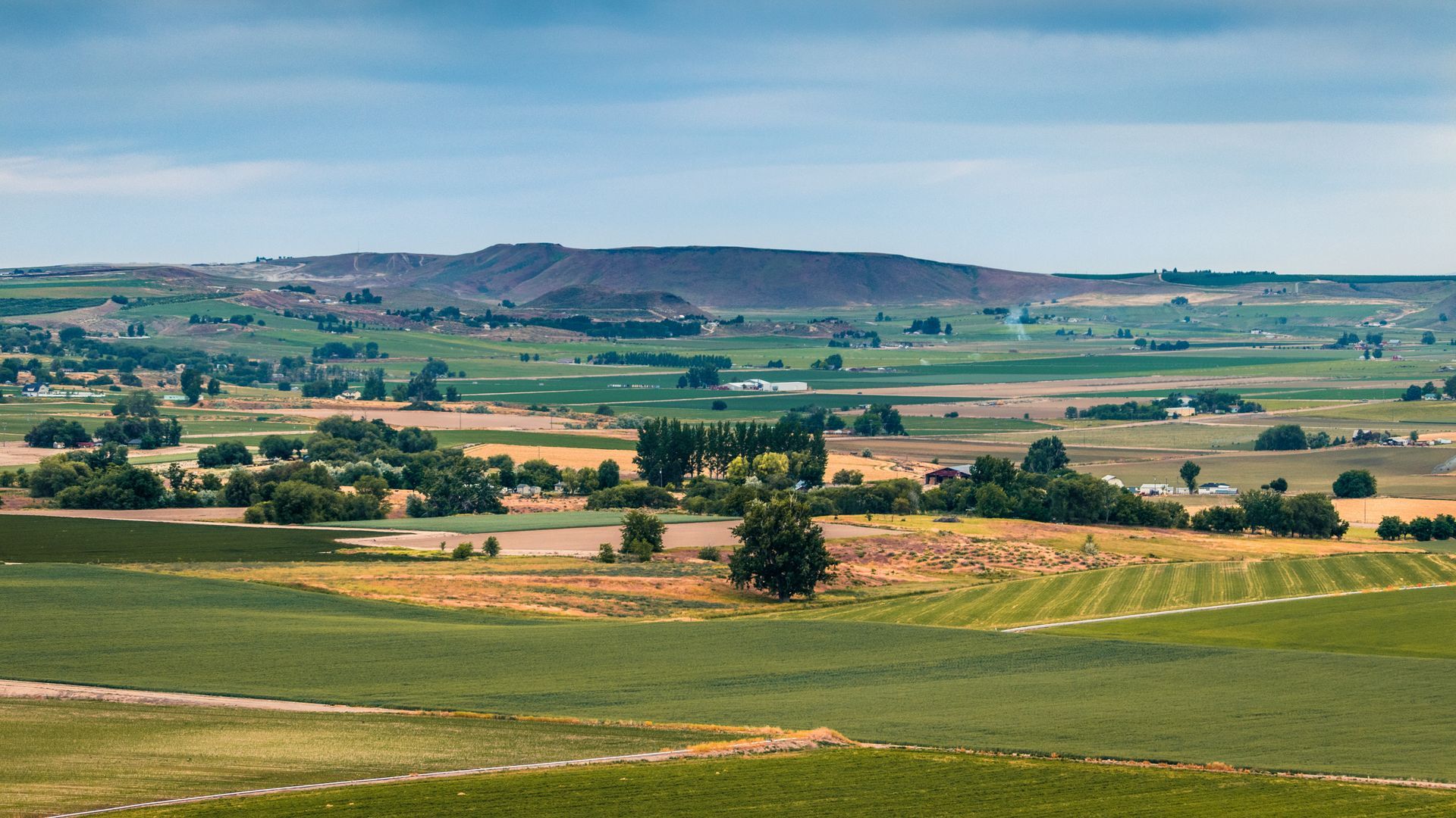 Farm land near Marsing, Idaho