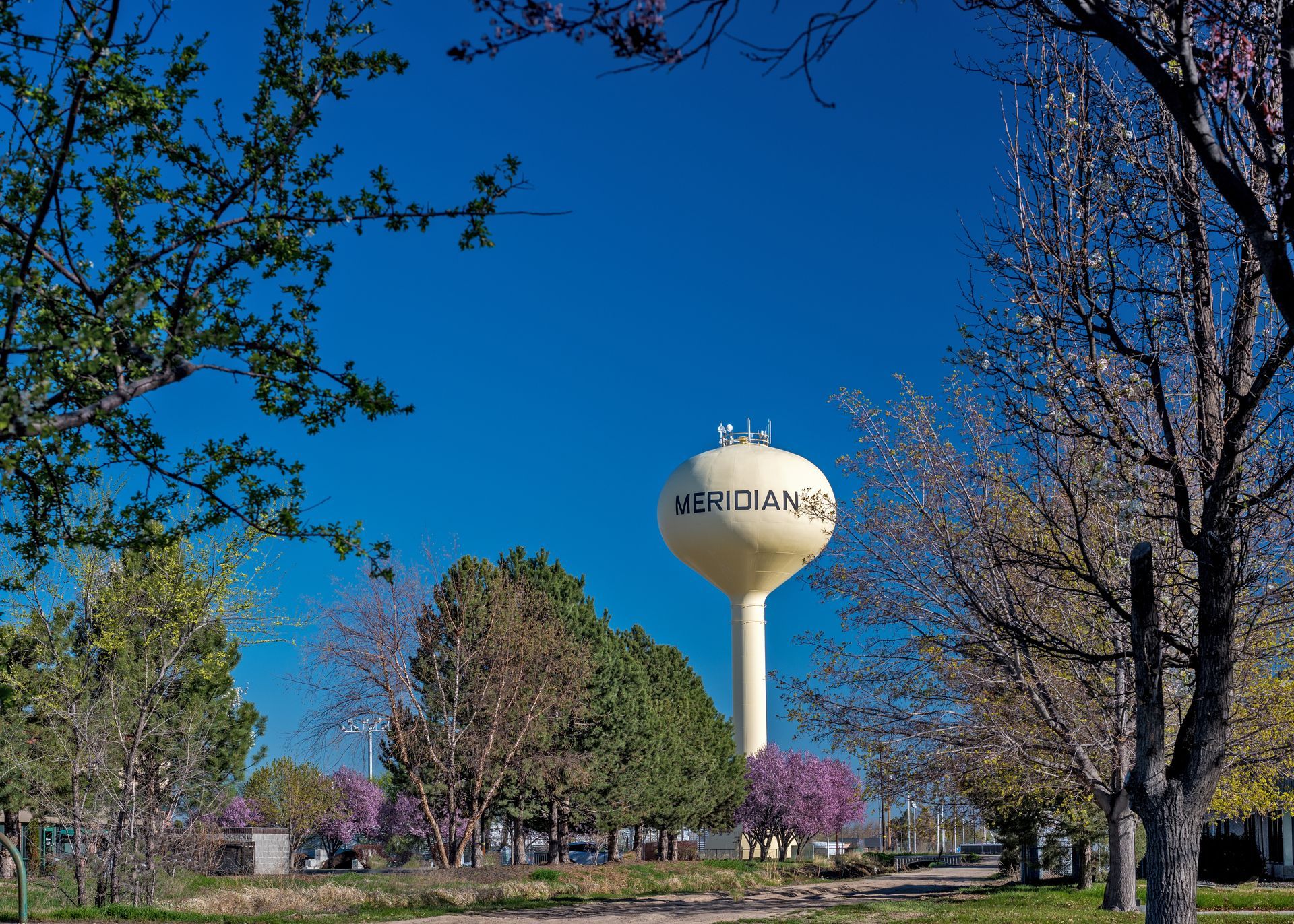 Meridian Idaho water tower