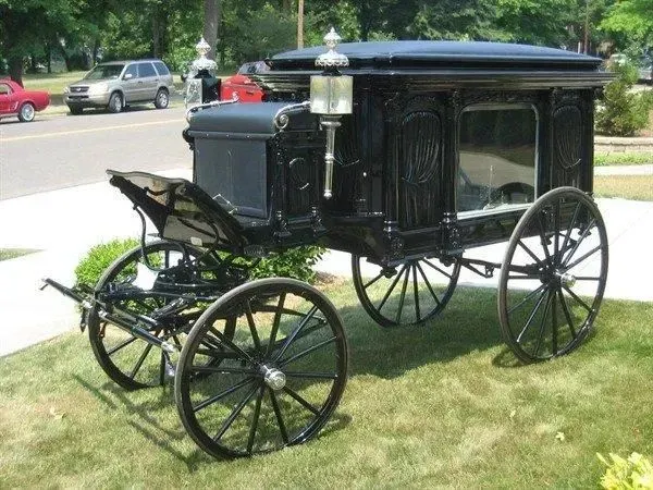 Black horse-drawn hearse on grass, parked on a sunny day.