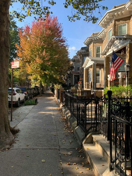 Sidewalk lined with autumn trees and brick houses, American flag visible.