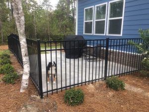 Black metal fence encloses a concrete patio with a dog and grill near a blue house.
