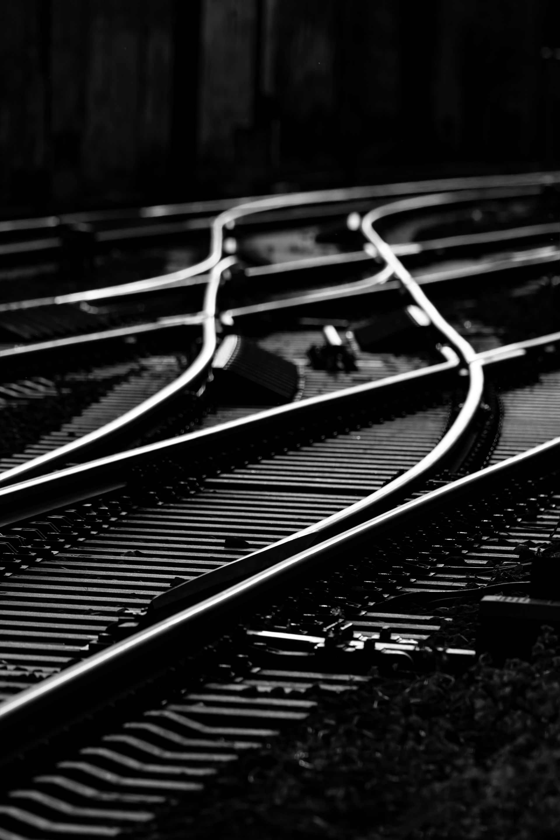 Railroad tracks curving and branching out, viewed in black and white.