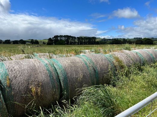 Row of hay bales in a grassy field under a cloudy blue sky.