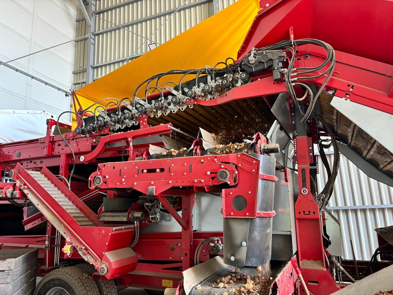 Red and yellow potato harvester sorting potatoes in a barn.