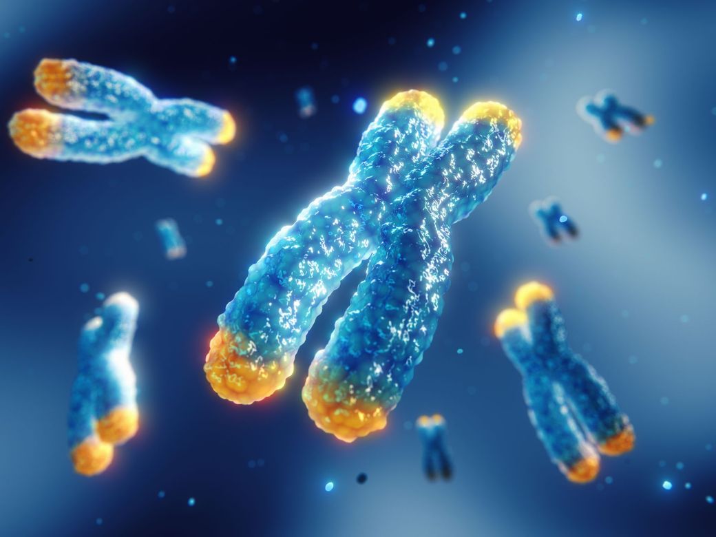 Blaue und gelbe Chromosomen schweben vor einem blauen Hintergrund und zeigen eine Zellteilung an.