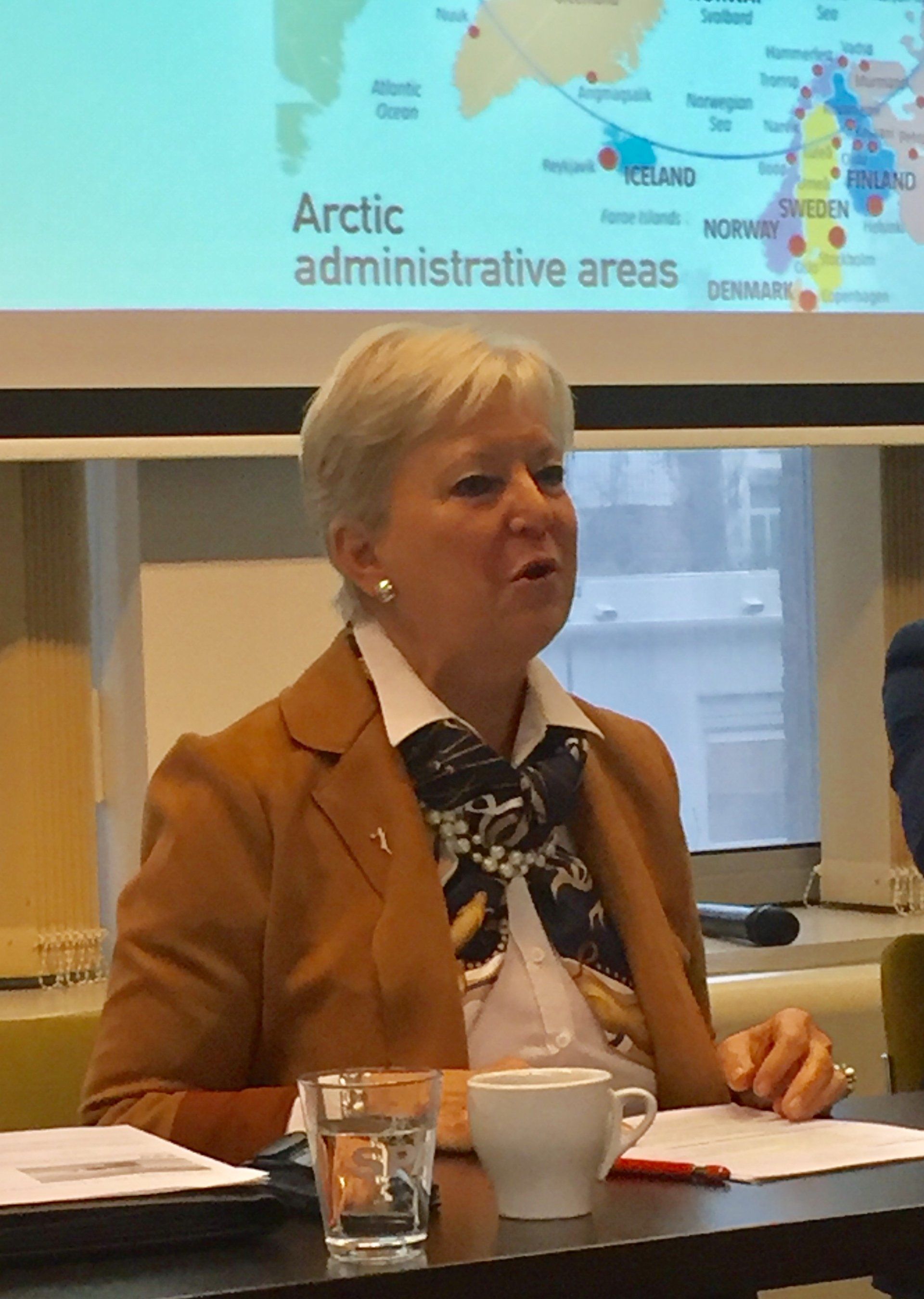 Eine Frau sitzt an einem Tisch vor einem Bildschirm mit der Aufschrift „Arctic Administrative Areas“