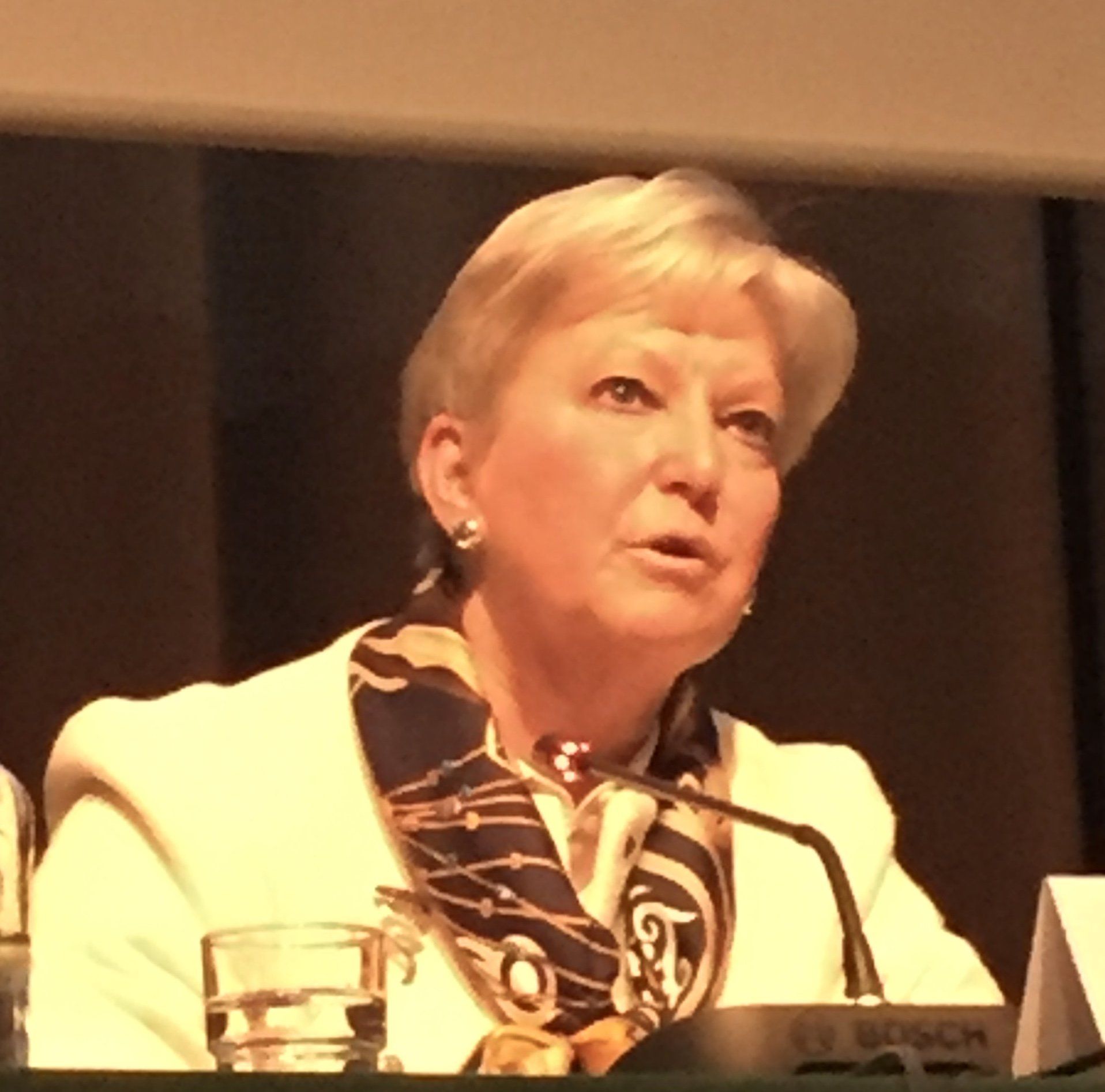 Eine Frau spricht in ein Bosch-Mikrofon