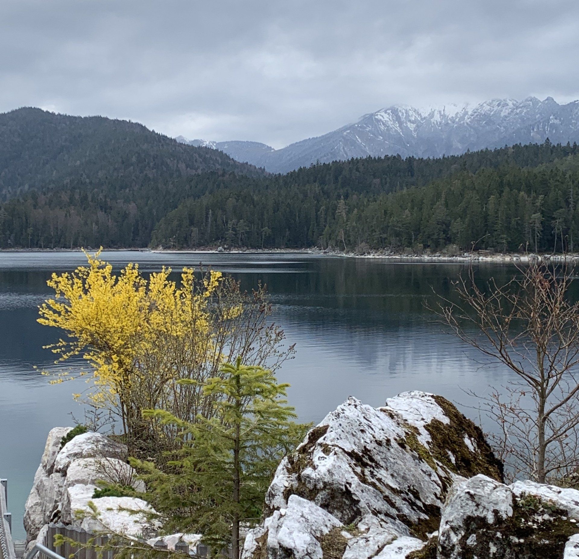 Ein See mit Bergen im Hintergrund und Bäumen im Vordergrund