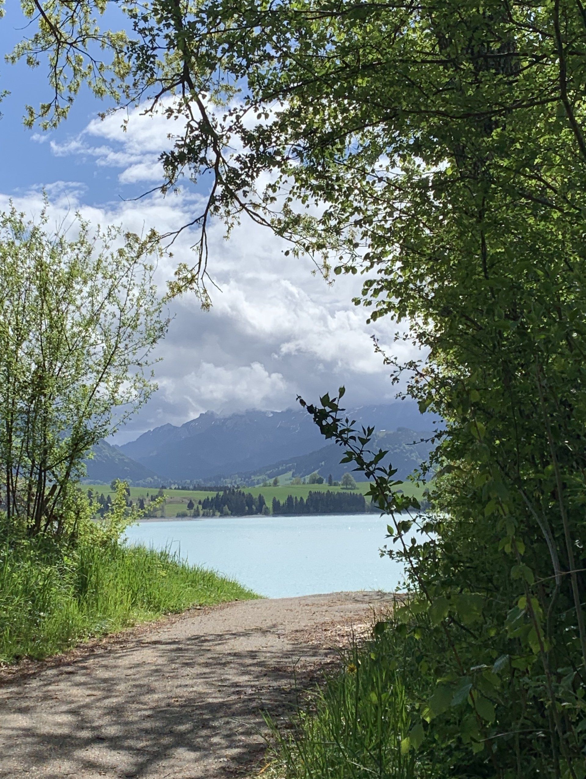 Ein Weg, der zu einem See mit Bergen im Hintergrund führt