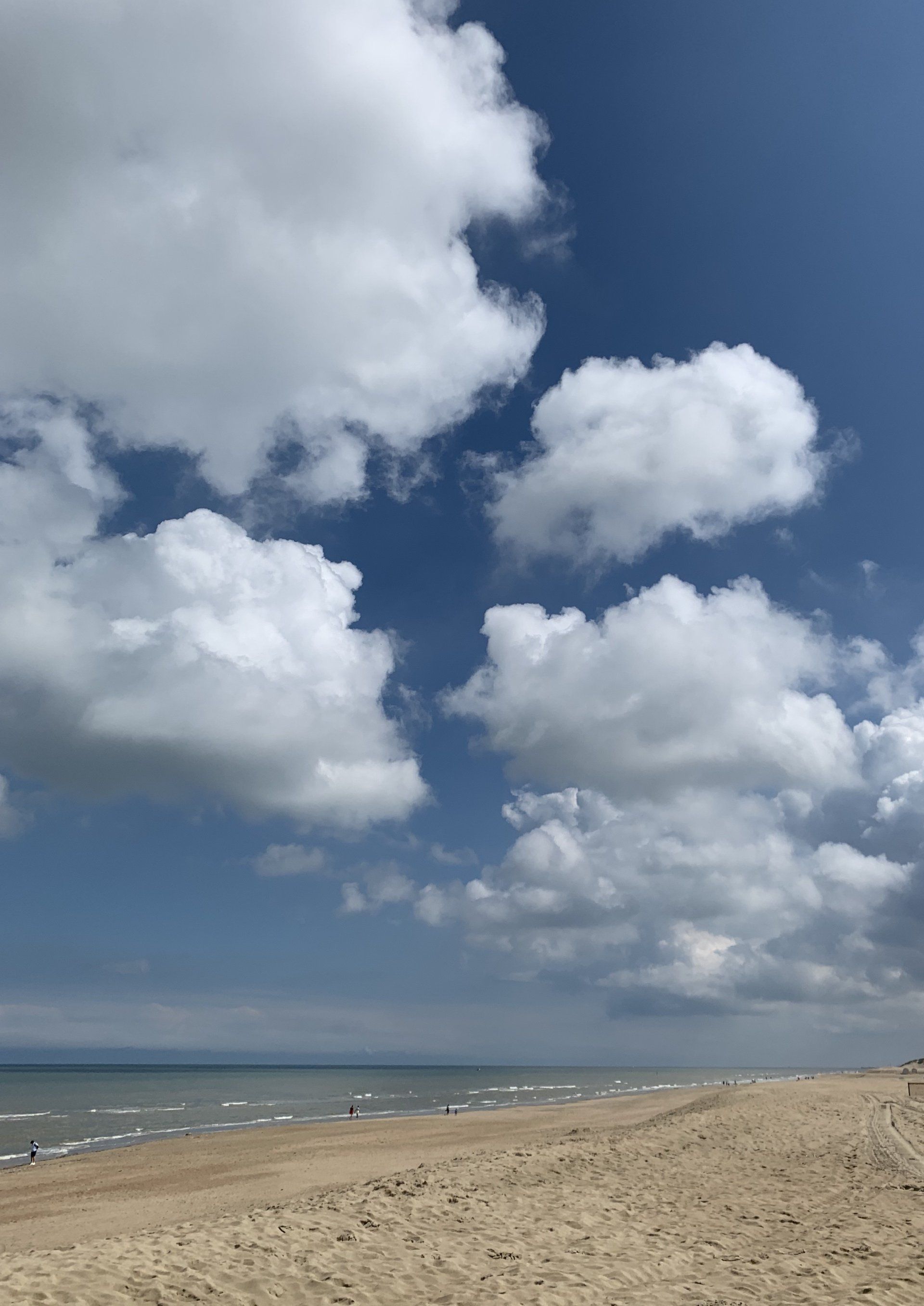 Ein Strand mit blauem Himmel und weißen Wolken.
