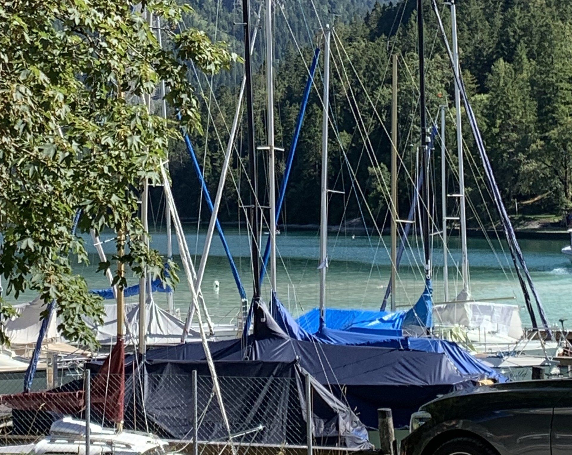 Neben einem See liegt eine Reihe Segelboote vor Anker.