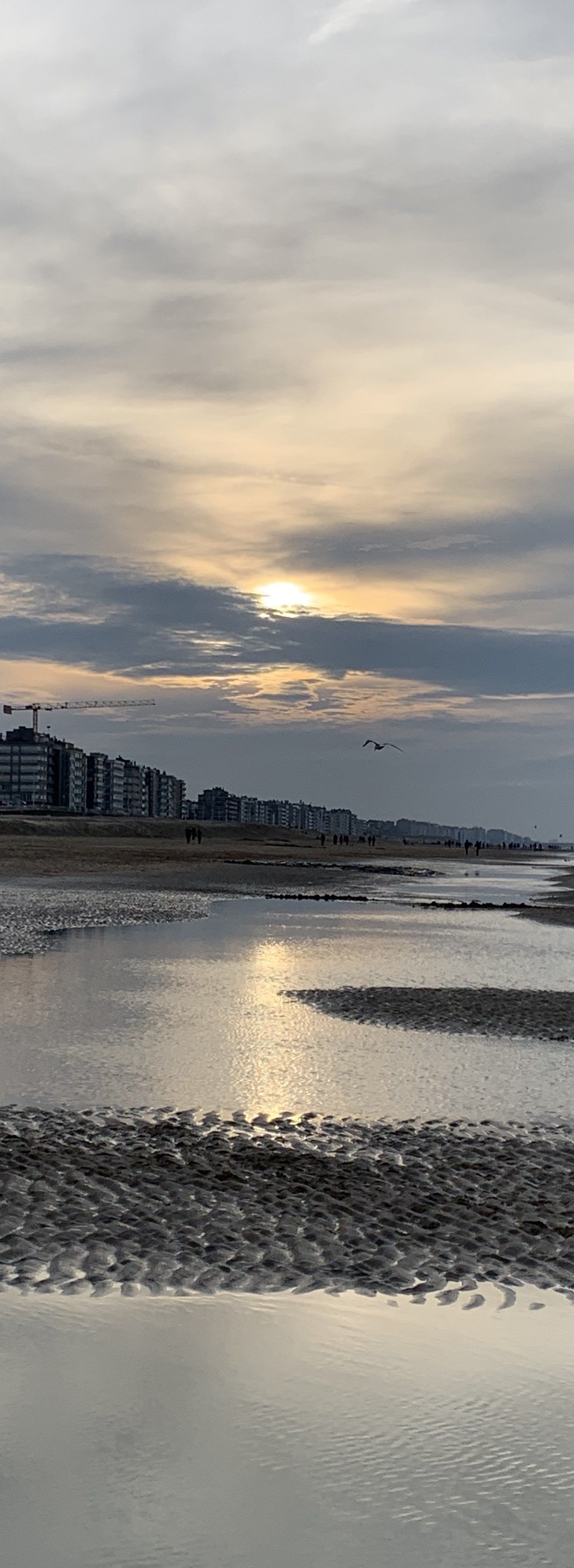 Die Sonne geht über einem Gewässer unter, im Hintergrund ist eine Stadt zu sehen.