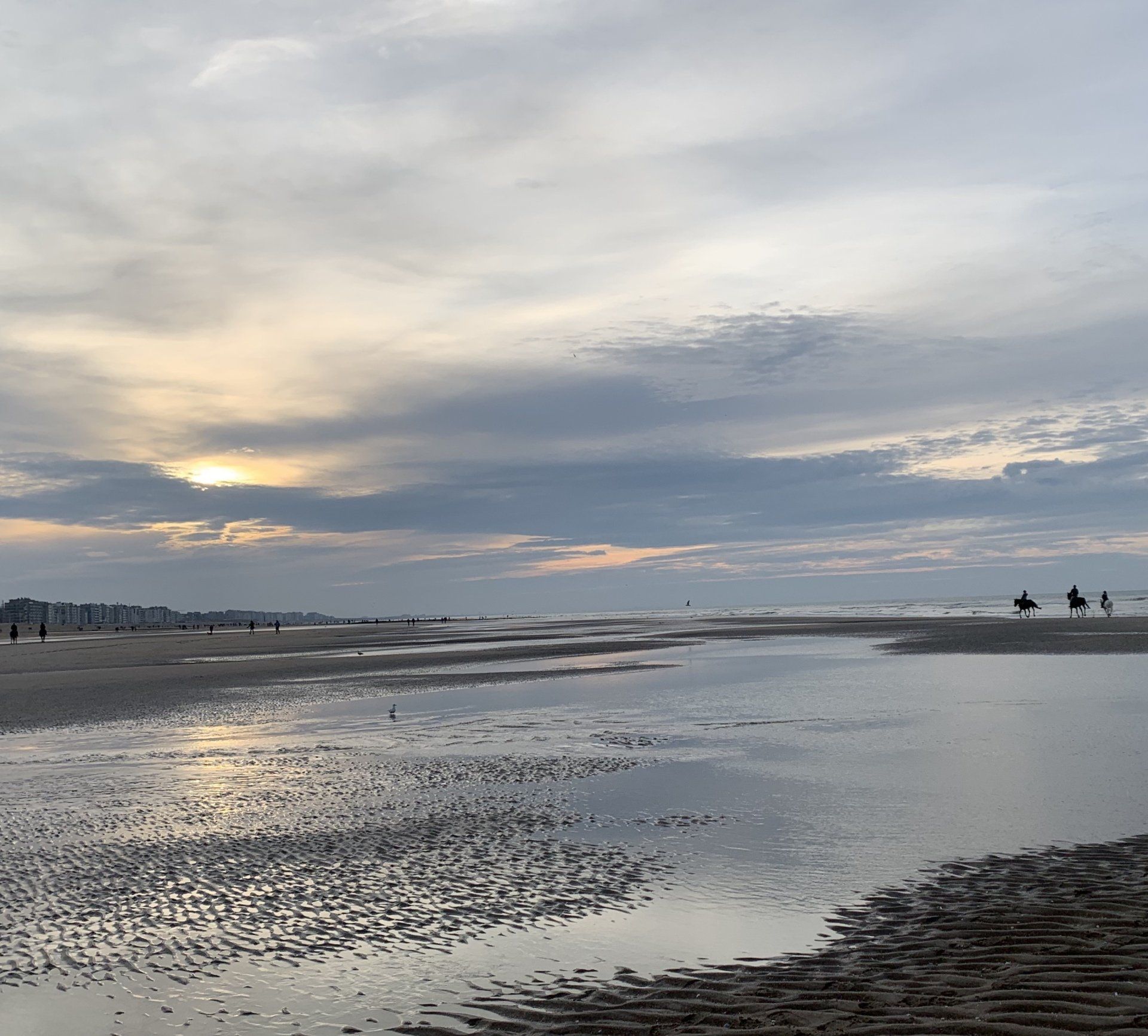 Eine Gruppe von Menschen reitet bei Sonnenuntergang an einem Strand
