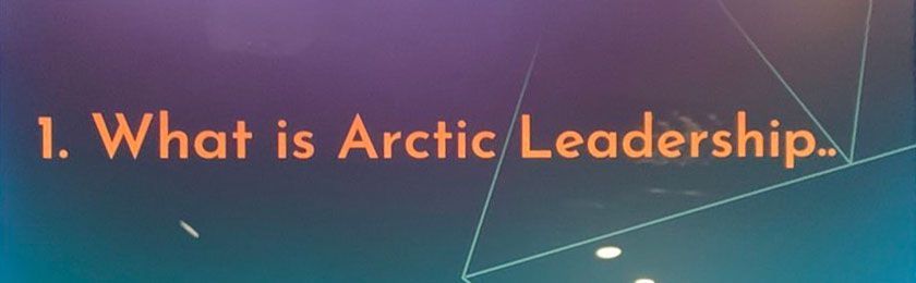 Ein blauer und violetter Hintergrund mit den Worten „Was ist arktische Führung?“