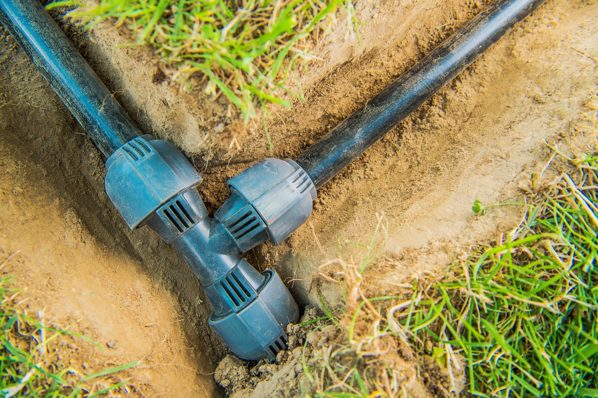 A three-way irrigation pipe connector joins black drip tubing in a trench surrounded by grass and dirt.