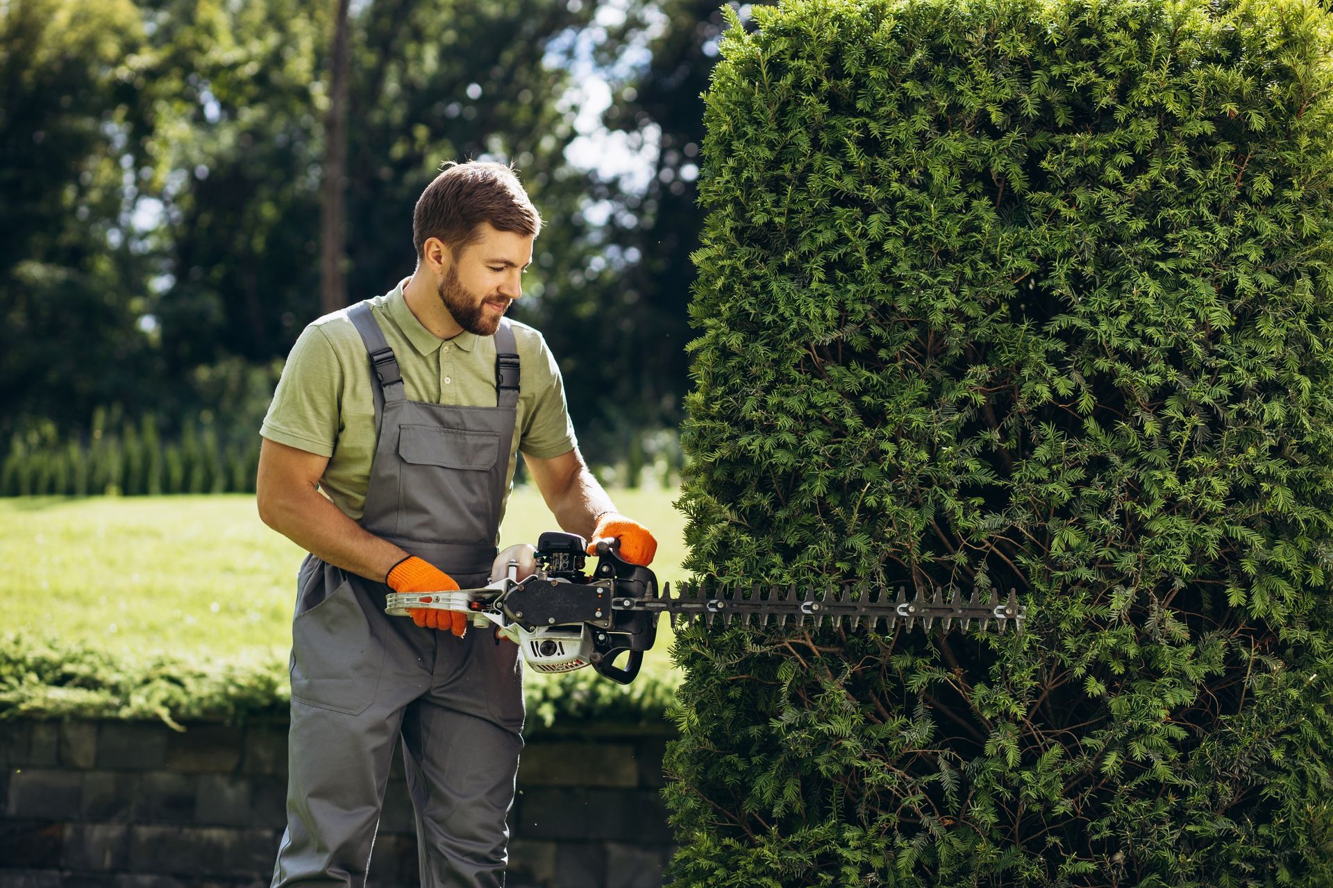 A person in grey overalls and orange gloves uses a power hedge trimmer to shape a tall, green hedge in a yard.