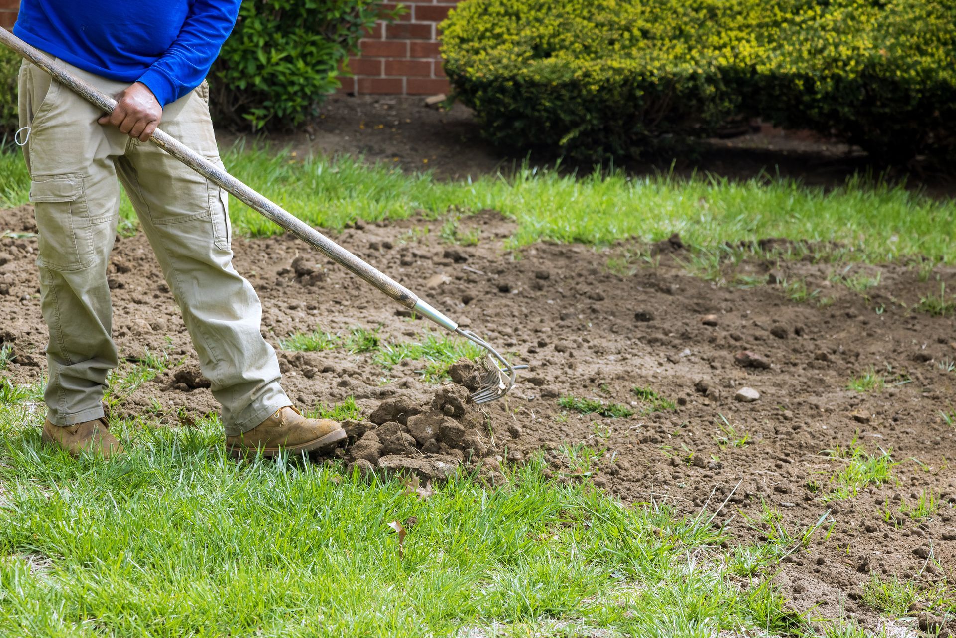 A person in a blue shirt and khaki pants uses a rake to clear dirt and grass in a garden.