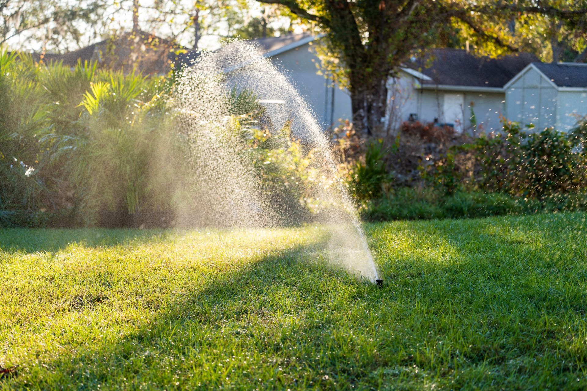 A lawn sprinkler sprays a fine mist of water over a green yard on a sunny day with houses in the background.