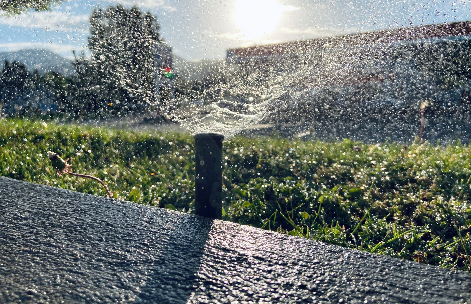 A lawn sprinkler spraying water over a green patch of ground at sunset, with light glinting off the water droplets.