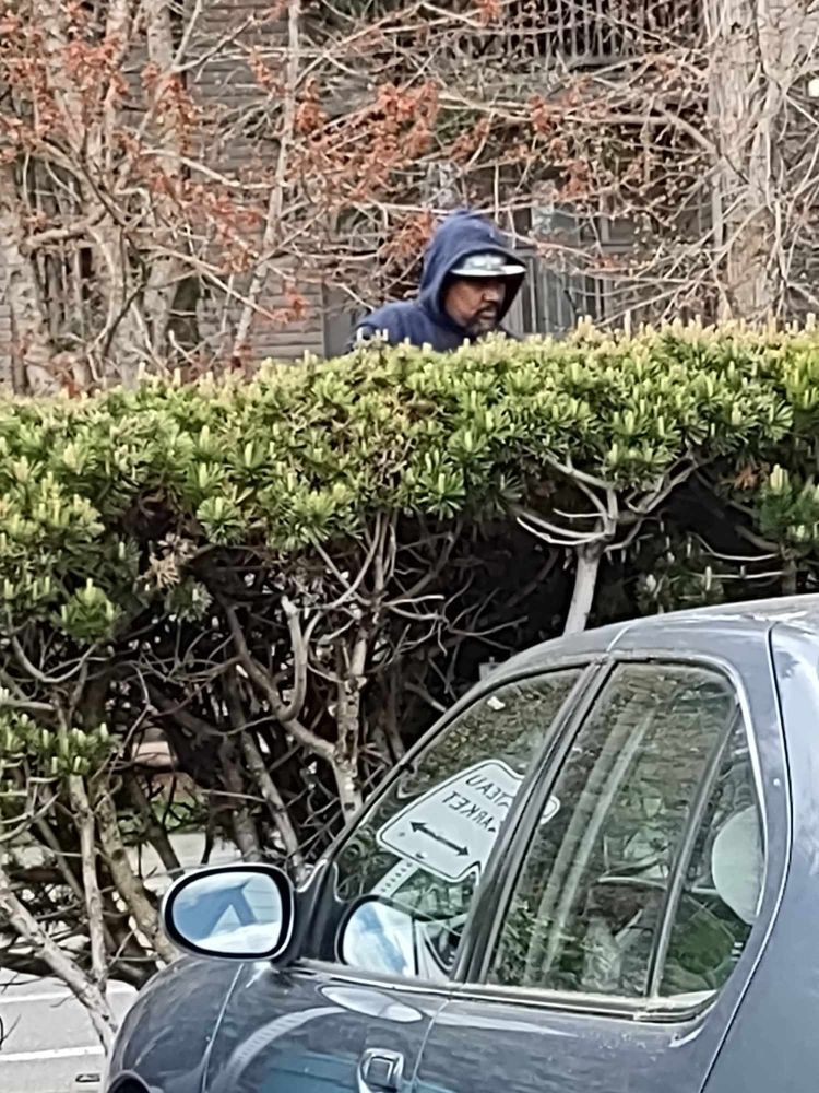 Hedge trimming