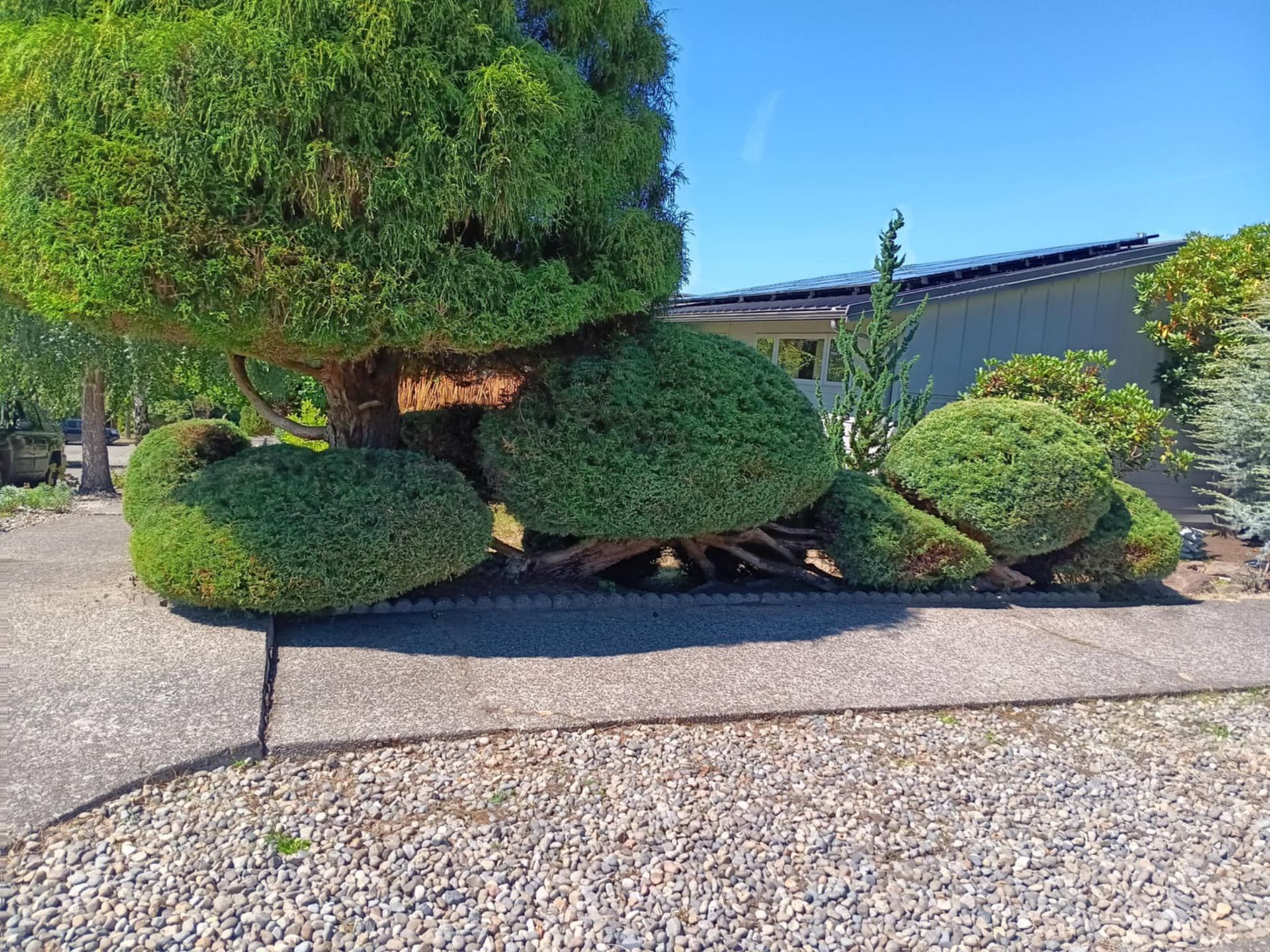 Greenwood Walkway After
