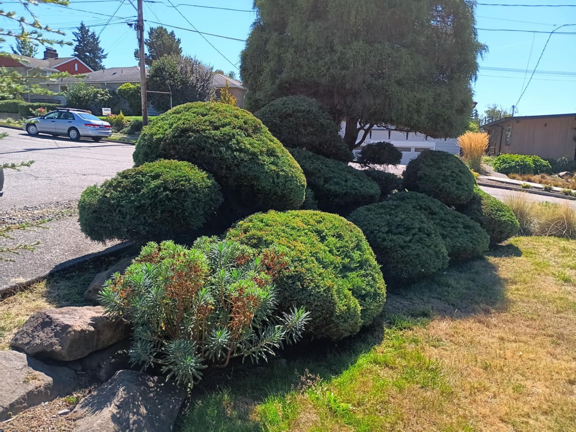 Greenwood Landscape Project After