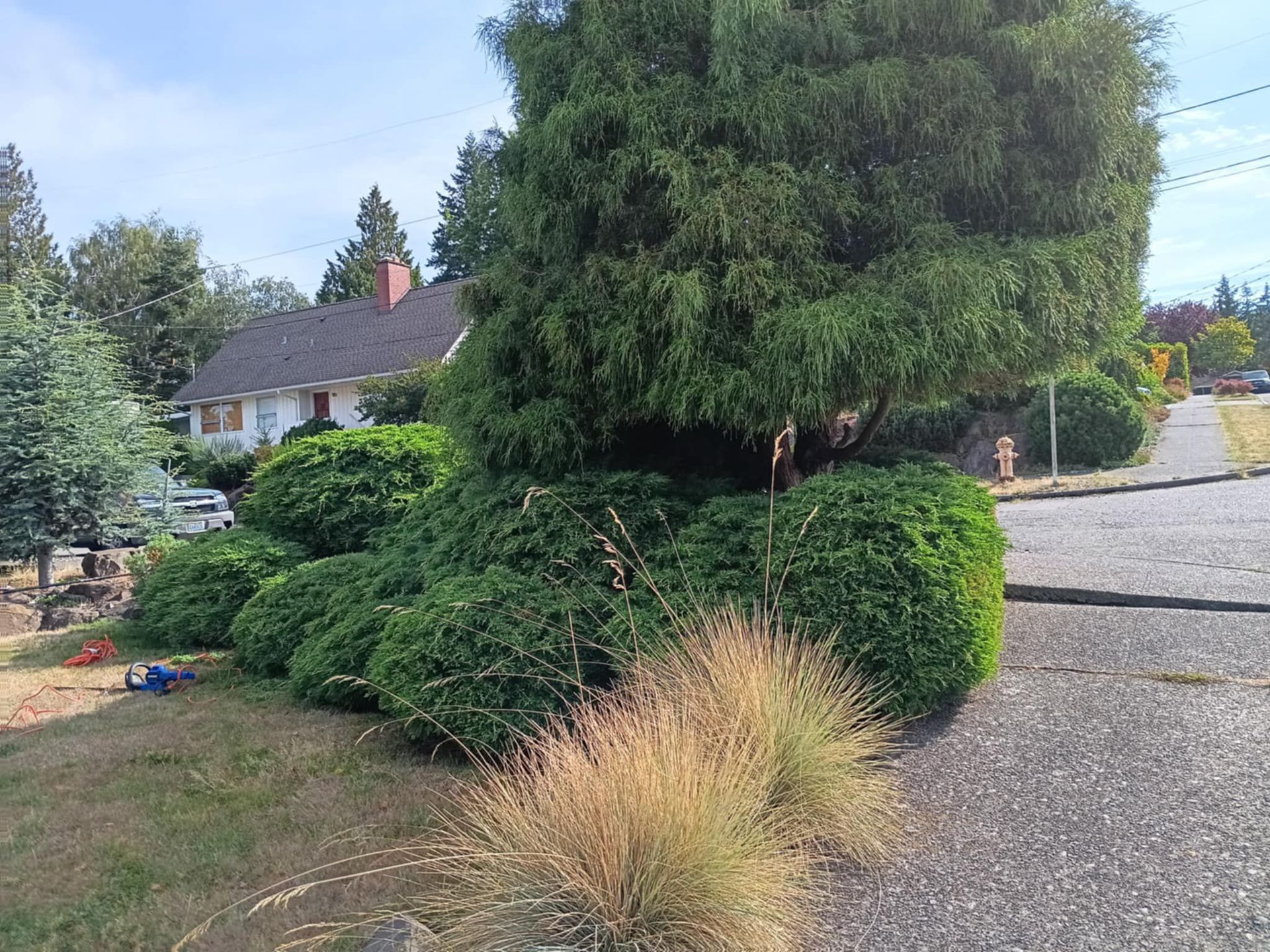 Greenwood Landscape Project Before