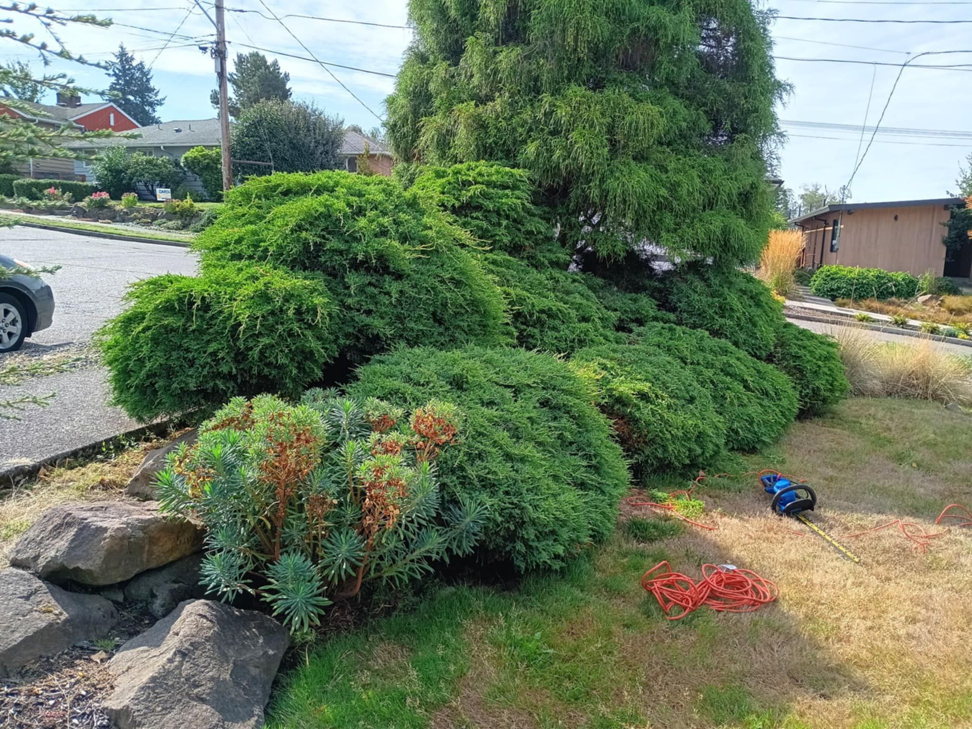 Greenwood Landscape Project Before