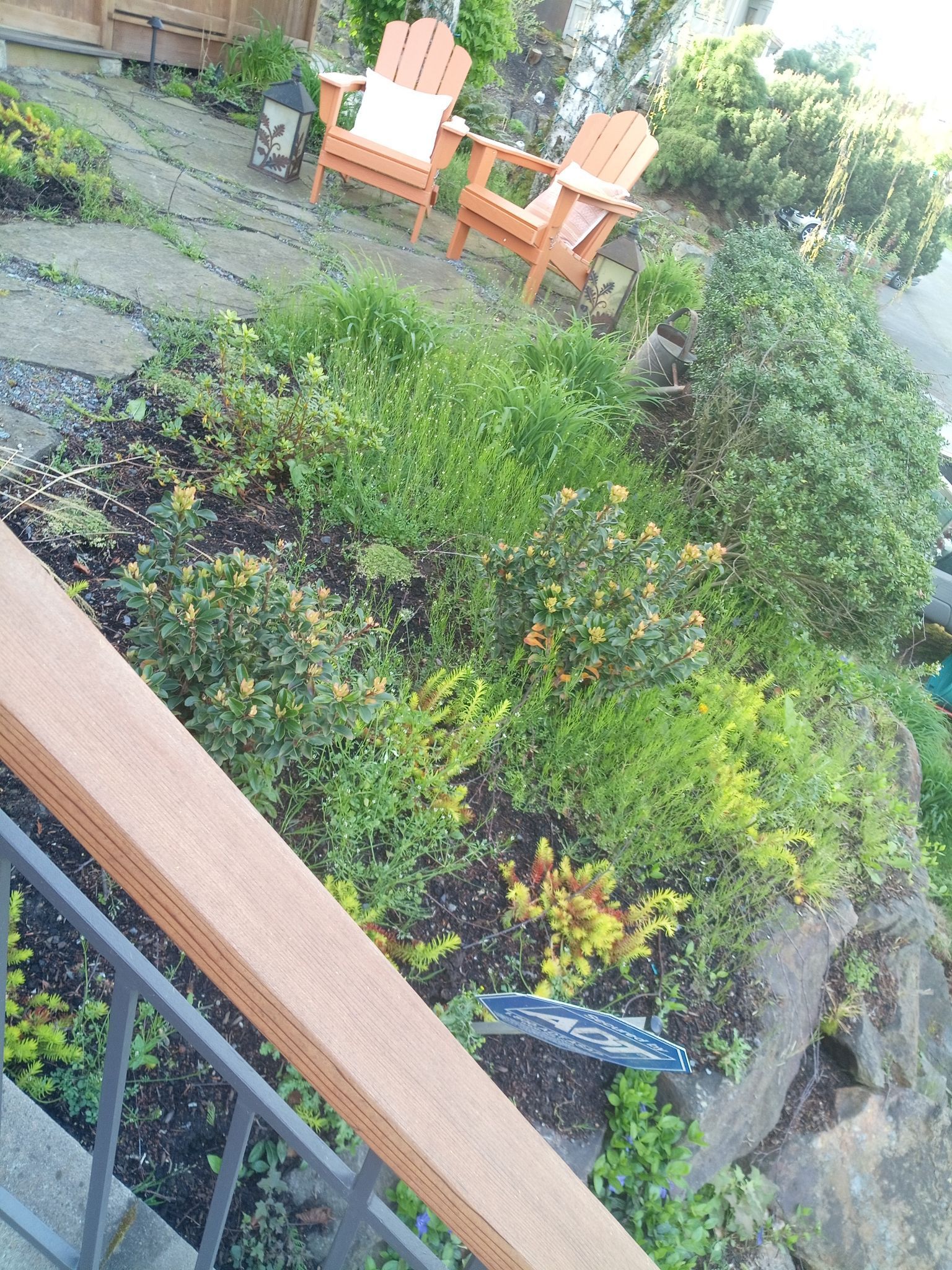 Greenwood Walkway Before