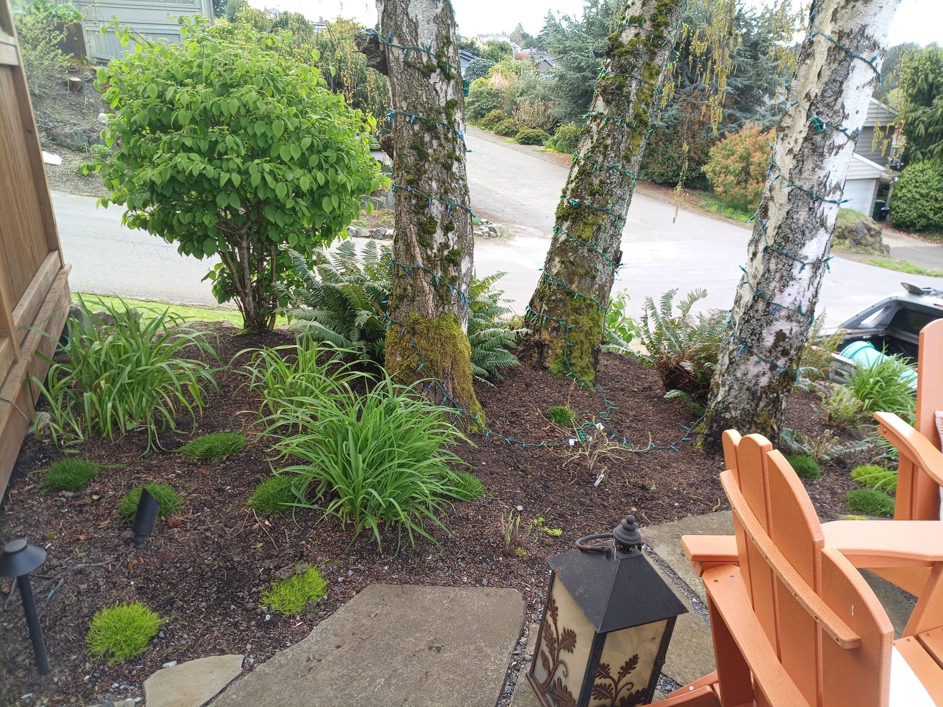 Greenwood Landscape Project After