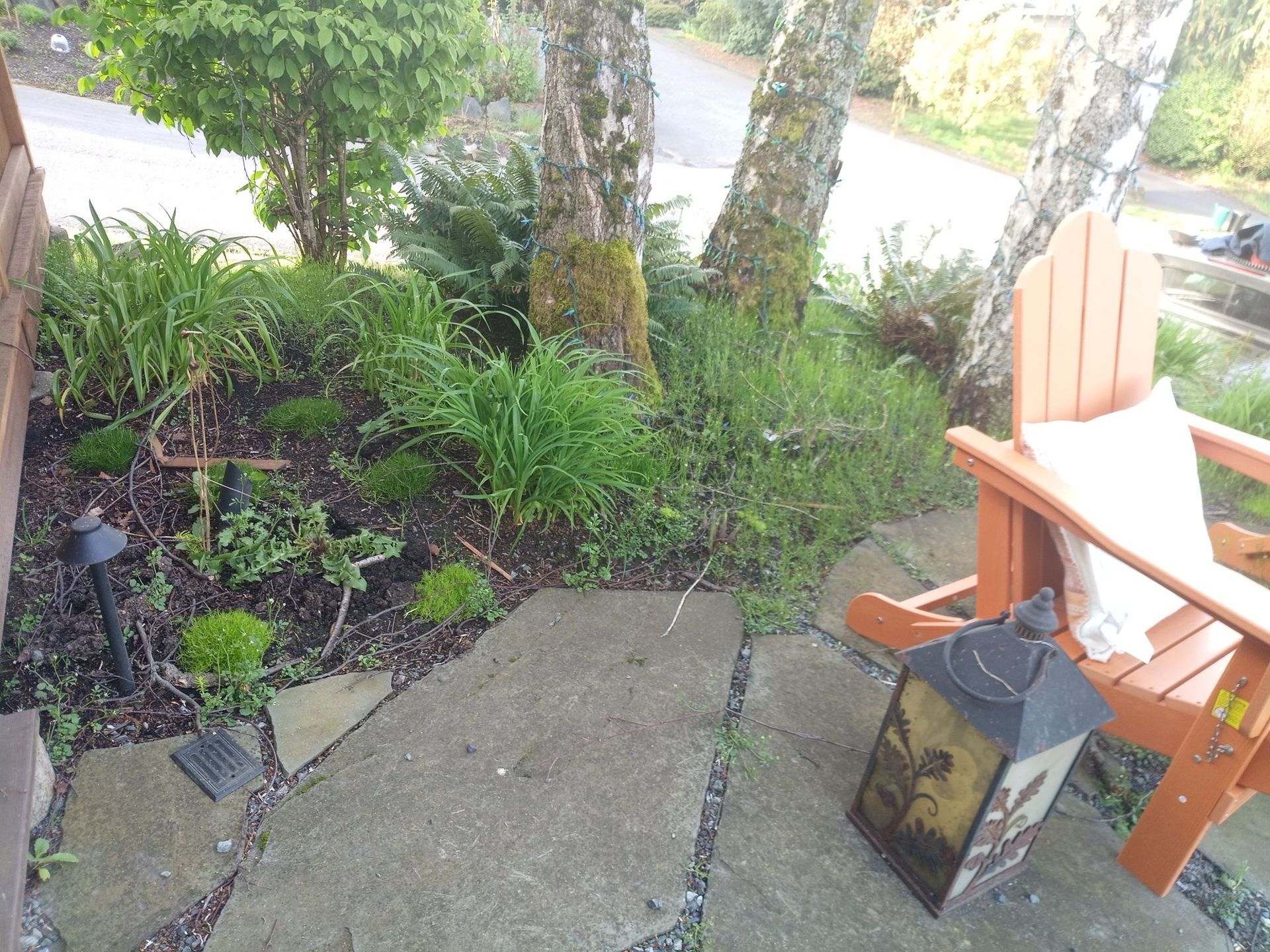 Greenwood Landscape Project Before