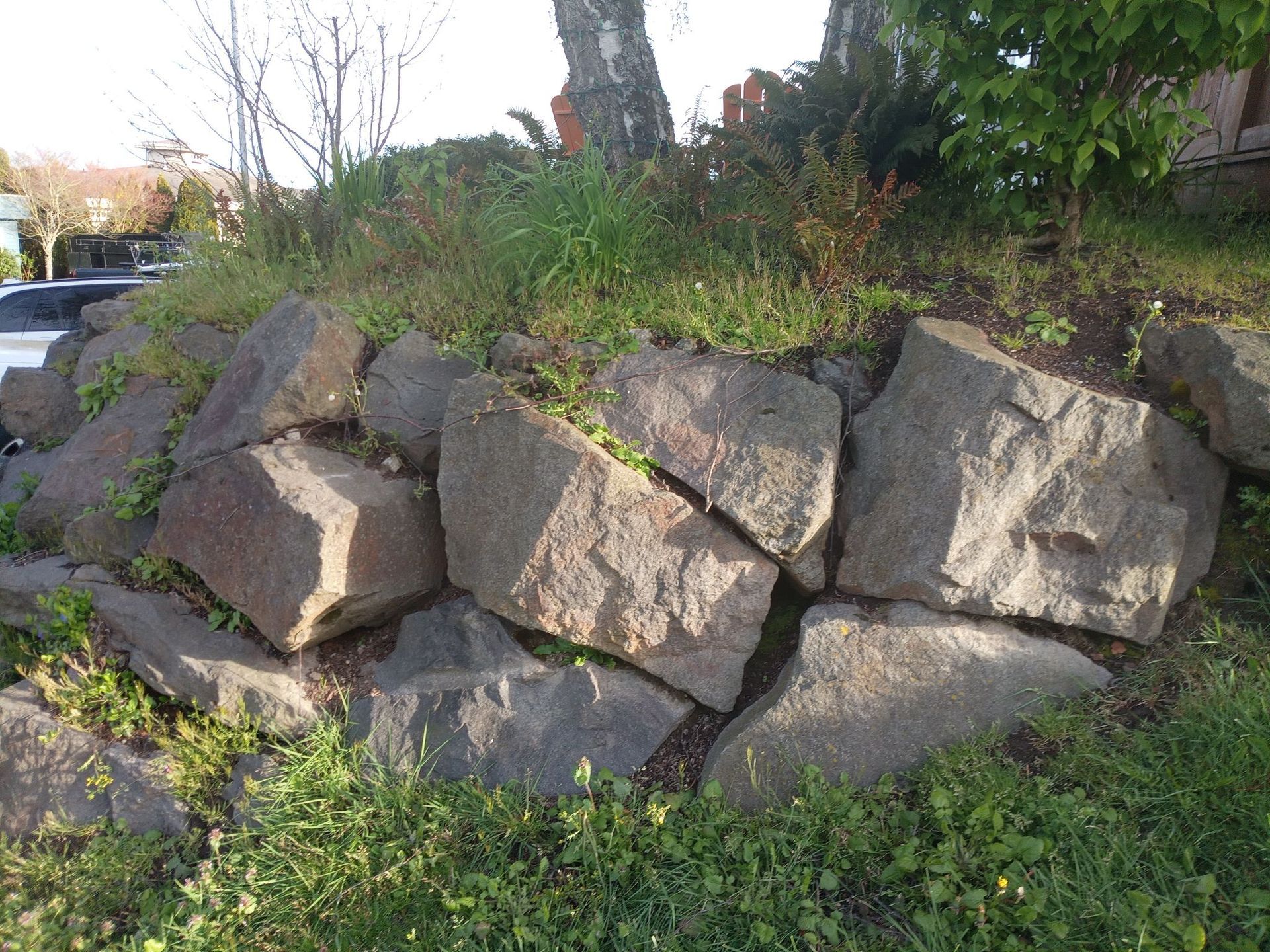 Greenwood Landscape Project Before