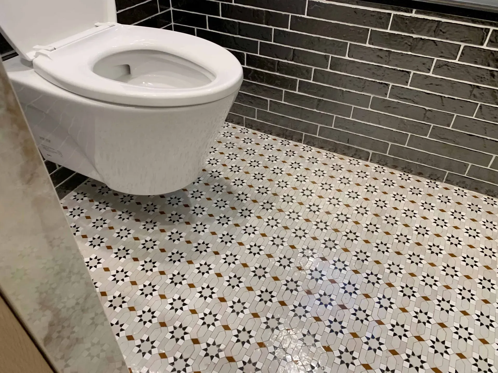 White toilet against dark brick wall, patterned tile floor.
