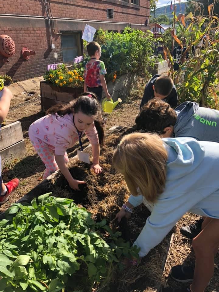 A group of children are working in a garden.
