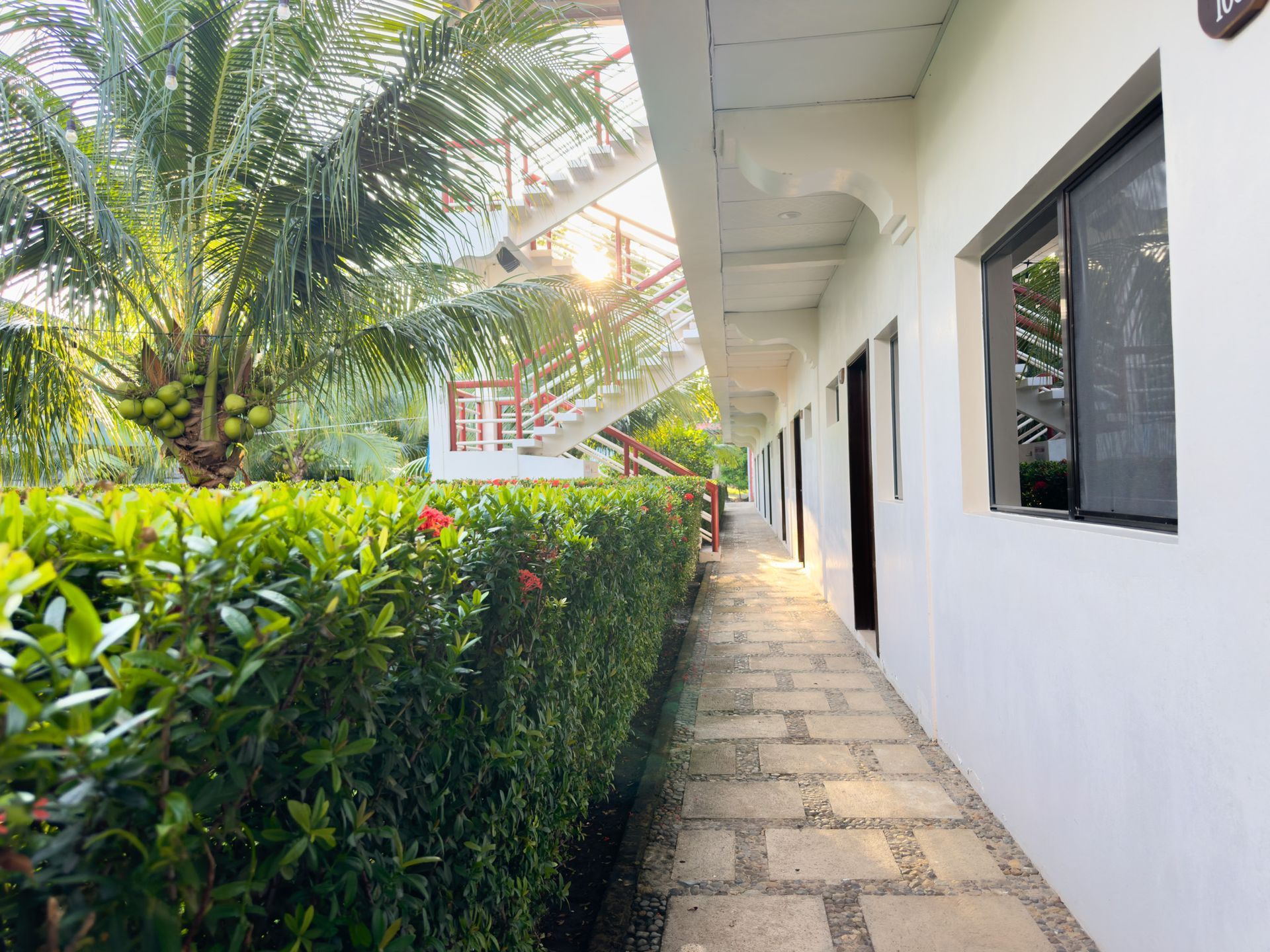 A white building with a walkway lined with green bushes, palm tree and staircase under bright sun.