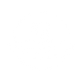 Logo Palm and waves