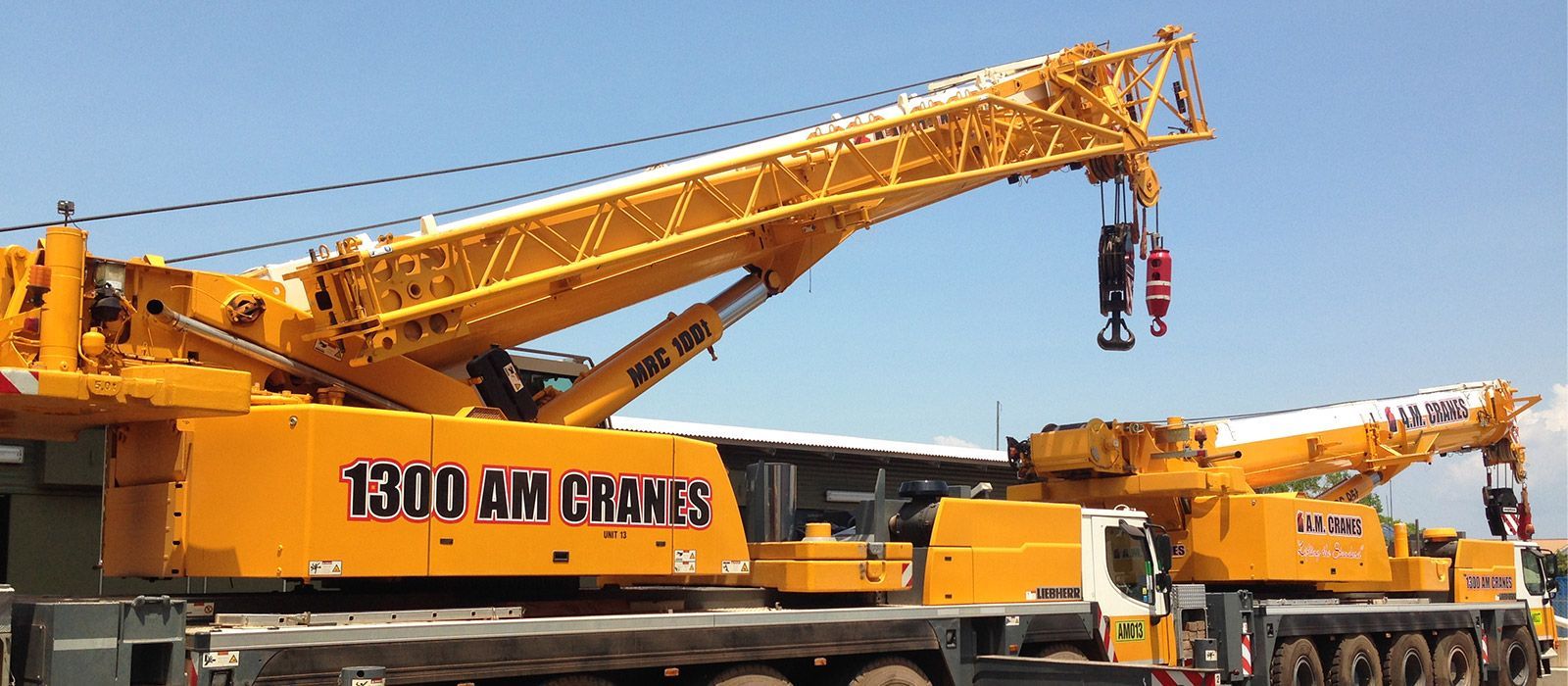 Crane