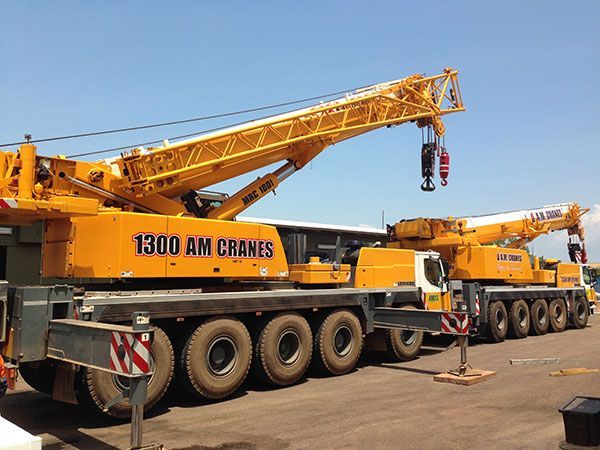 crane